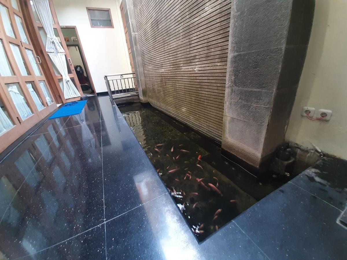 פאצ'יטאן Alloro Guesthouse מראה חיצוני תמונה